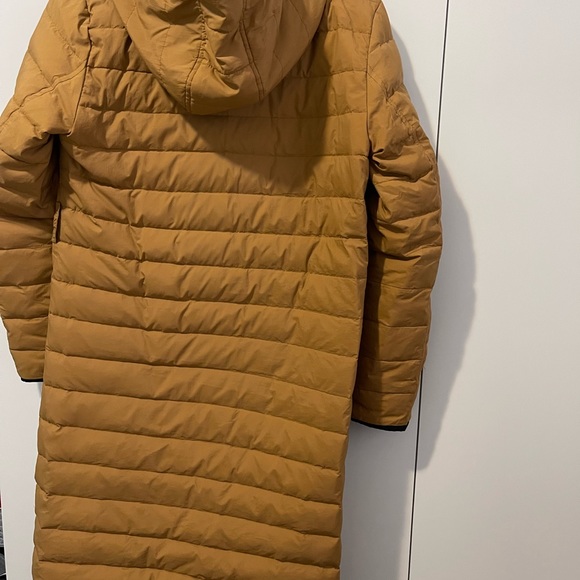 Coat & Jacket - Picture 3 of 6